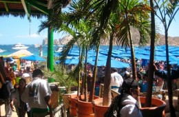 The Office Restaurant - Cabo San Lucas