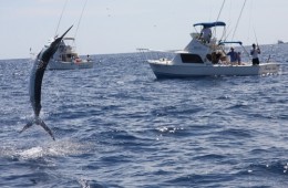 Fishing in Cabo