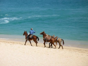 Horse Riding on Cabo San Lucas beach